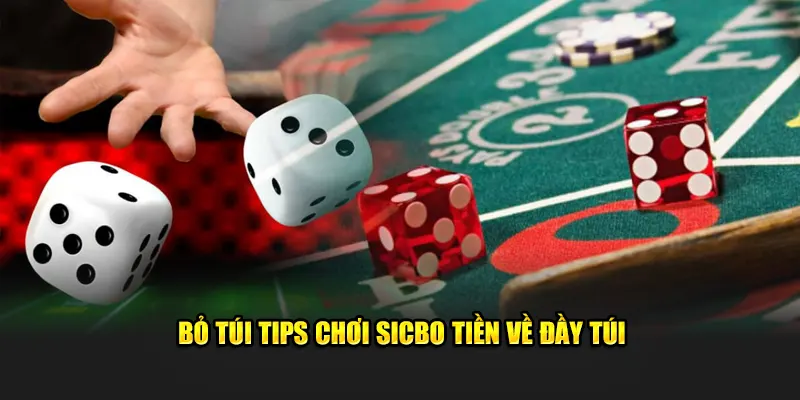 Bỏ túi tips chơi sicbo tiền về đầy túi