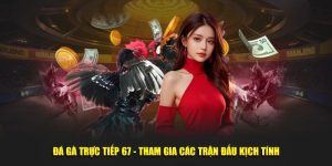 Đá gà trực tiếp 67 tham gia