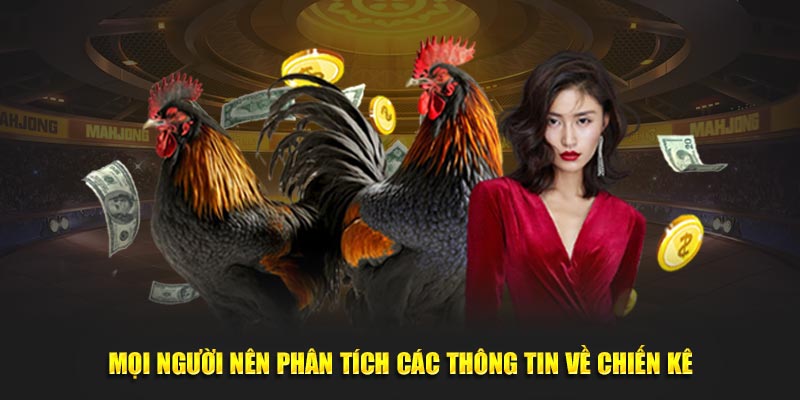 Mọi người nên phân tích đầy đủ thông tin về chiến kê